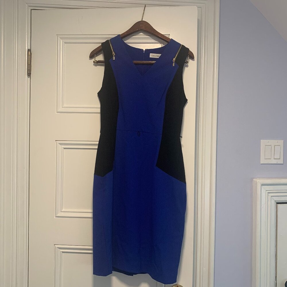 Blue Calvin Klein Dress